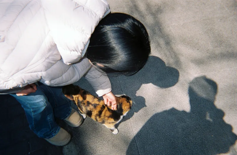 她弯腰摸花猫，旁边的地面上留着拍照者的影子